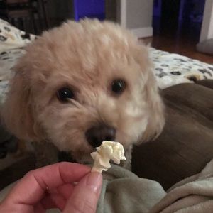 Meet your Posher, Tanya